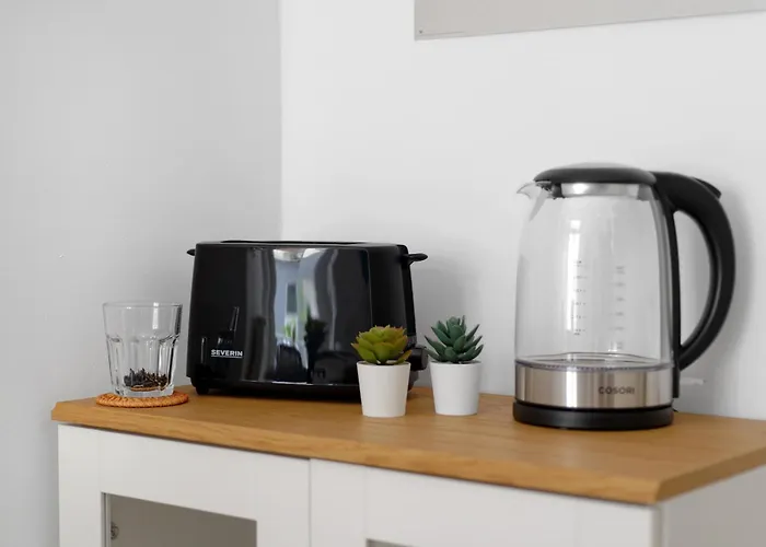 Apartman Casa Di Nero Komfort Mit Innenstadtlage Und Balkon Wiesbaden